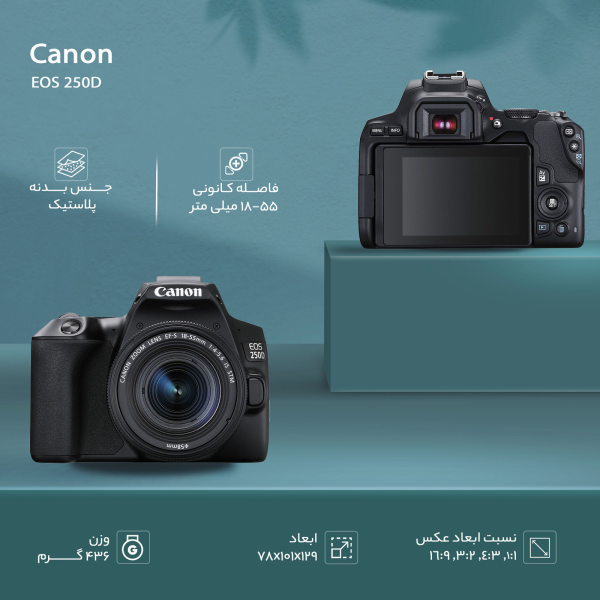 دوربین دیجیتال کانن مدل EOS 250D به همراه لنز 55-18 میلی متر IS STM - Image 8