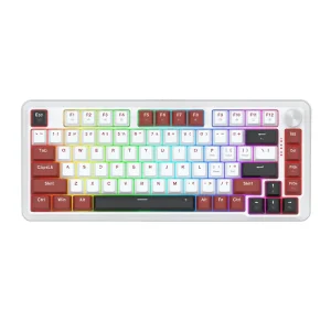کیبورد گیمینگ ردراگون K721WRB-RGB|Normal S WRD